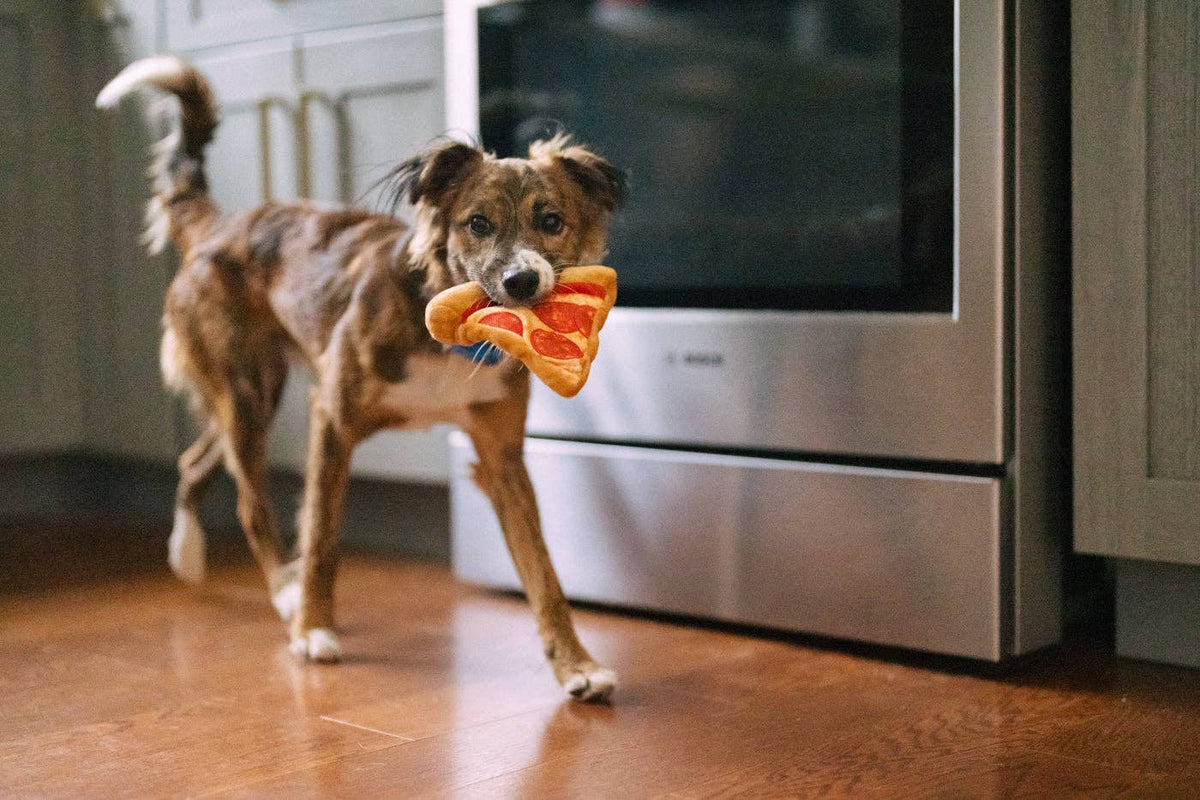 P.L.A.Y Snack Attack Puppy-roni Pizza (Medium)