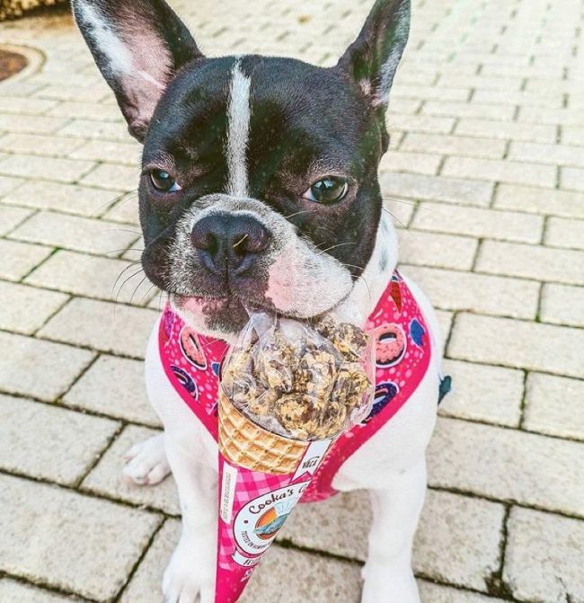 Cooka's Cookas Rundvlees Beijinhos (50g)