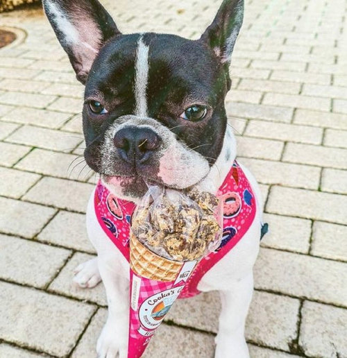 Cooka's Cookas Rundvlees Beijinhos (50g)