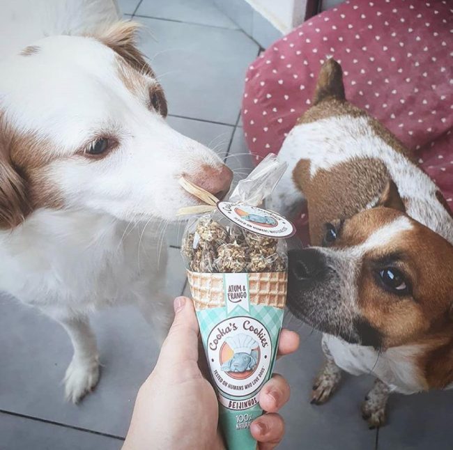 Cooka's Koekjes Tonijn & Kip Beijinhos (50g)