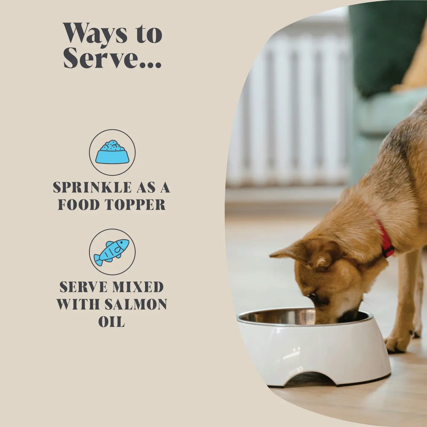 Plaque Seaweed Powder For Dogs | 80 Servings
