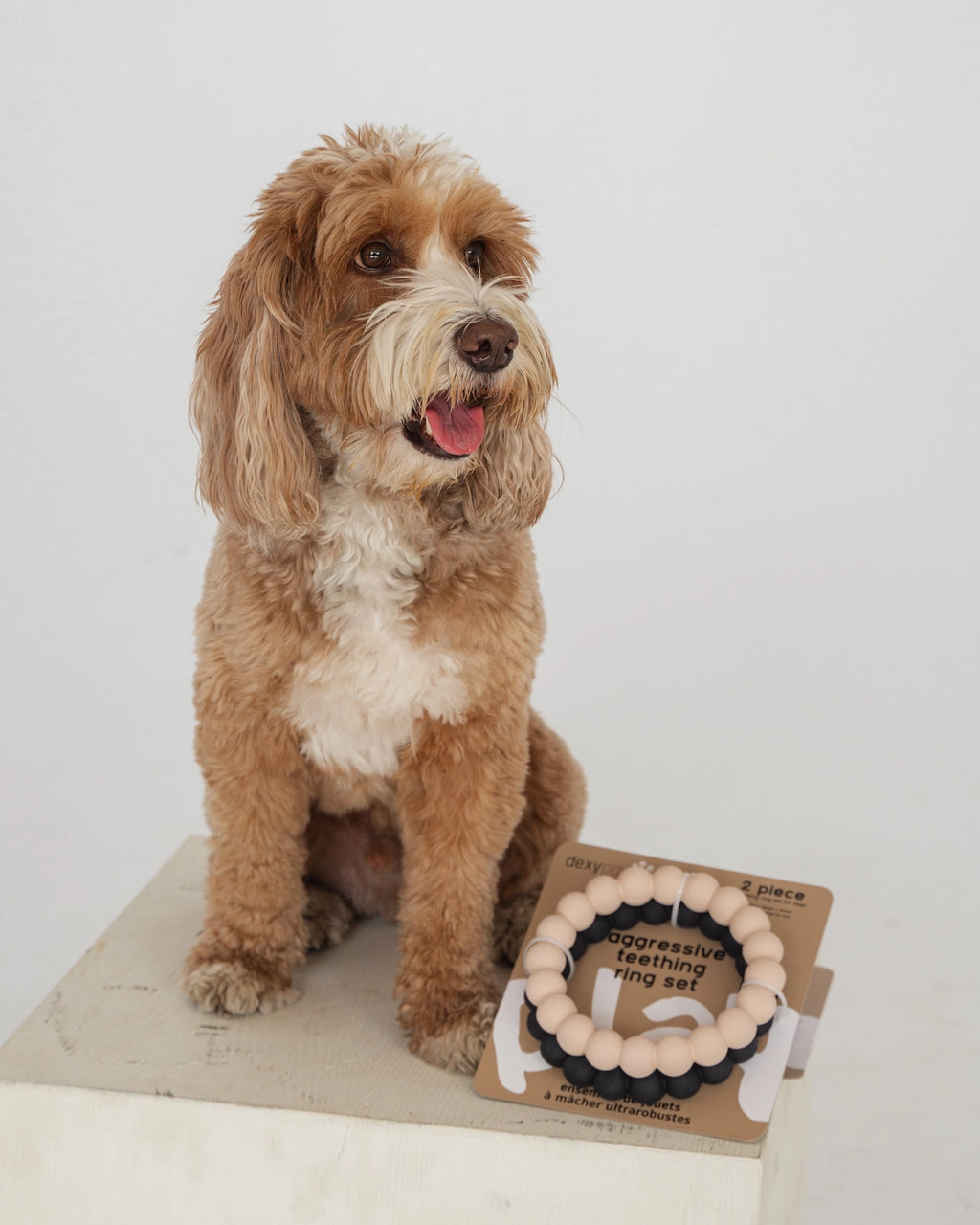 Ring Aggressive Chew Toy