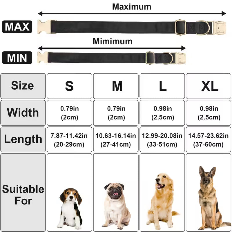 Fluwelen hondenhalsband met strikje