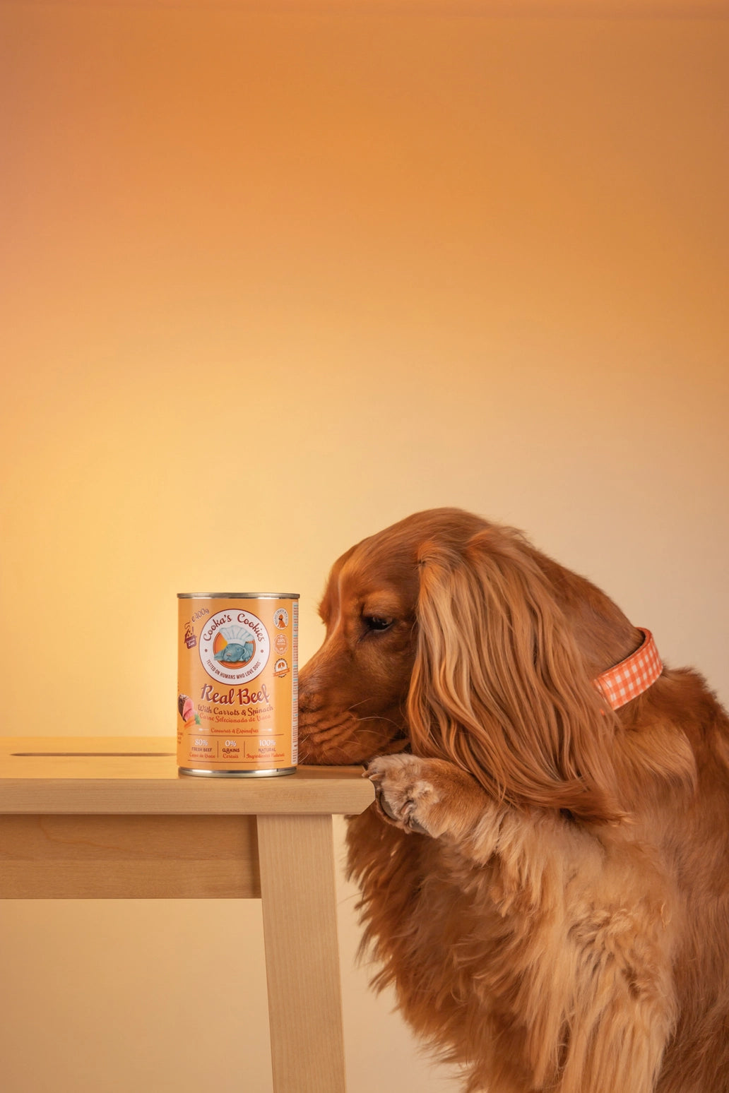 Real Beef - Natural Humid Dog Food