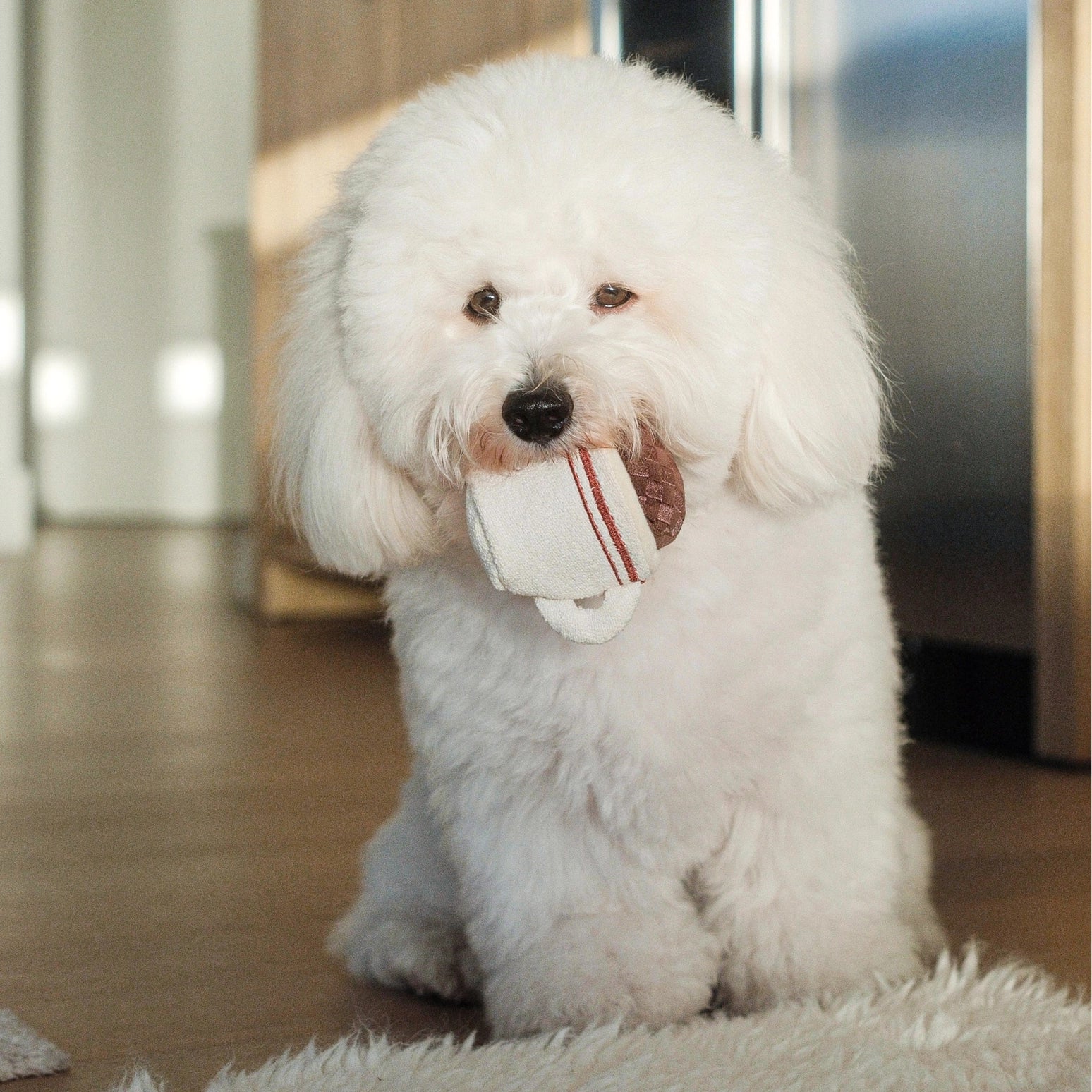 Expresso Pop - Enrichment Toy