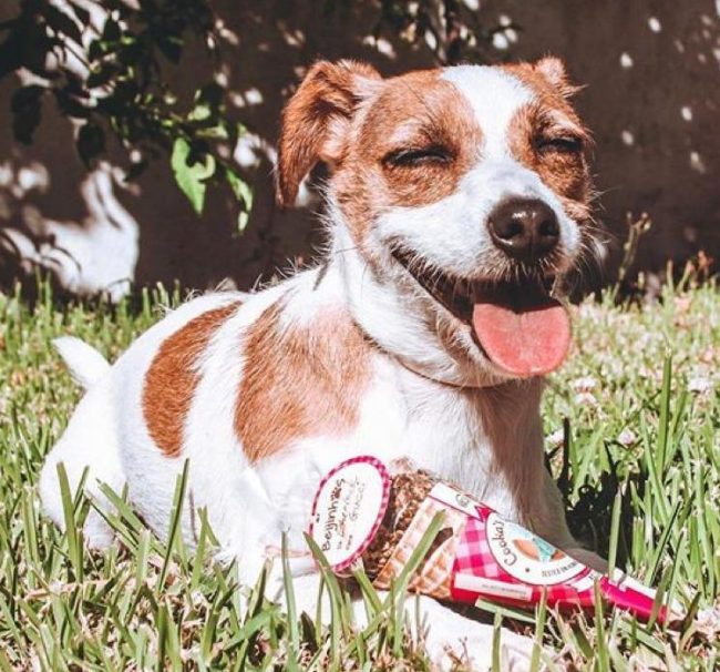 Cooka's Cookas Rundvlees Beijinhos (50g)