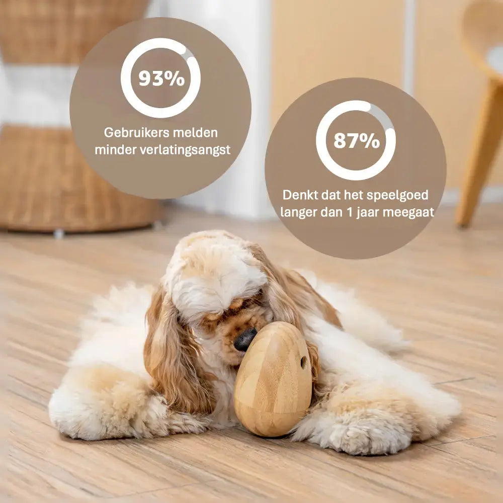 Wobble Egg Dog Puzzle - Brainwork - Mental Training